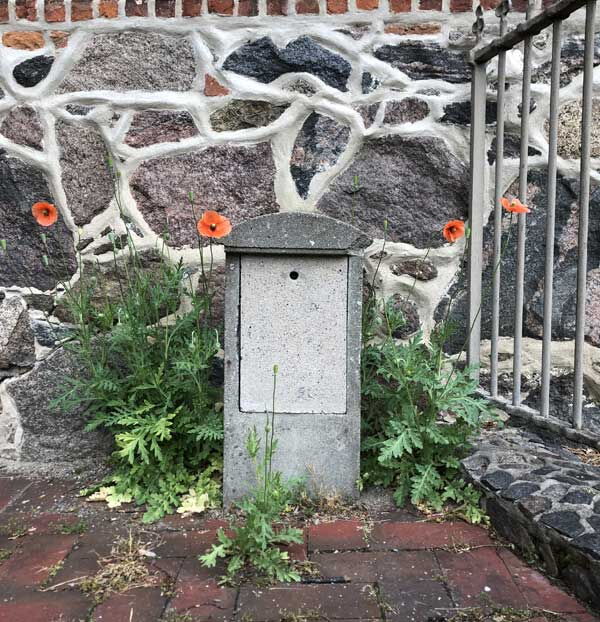 Mohn | © Sindy Altenburg